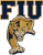 fiuclient